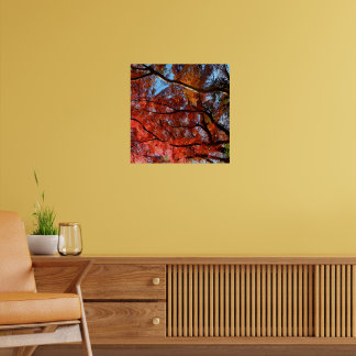 Japanese Maple Poster