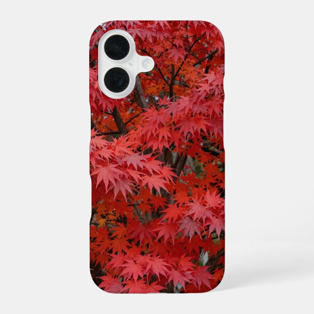 Japanese Maple Red Fall Phone Case iPhone 16 Hülle (Rückseite)
