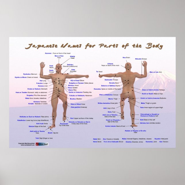 Japanese Names for Parts of the Body Poster (Vorne)