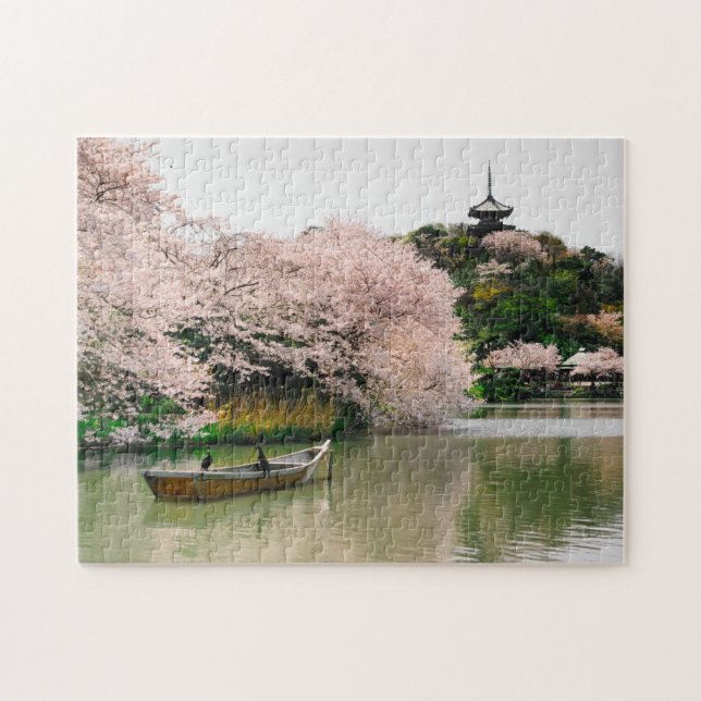 Japanese River Cherry Blossoms Travel Photo (Horizontal)
