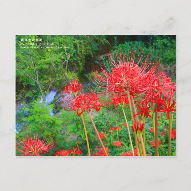 JAPANESE SHANGRI-LA [Postcard] Postkarte (Vorderseite)
