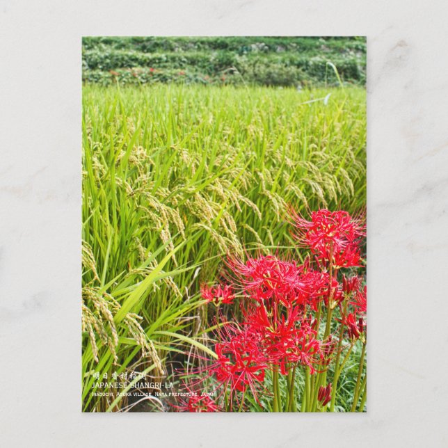 JAPANESE SHANGRI-LA [Postcard] Postkarte (Vorderseite)