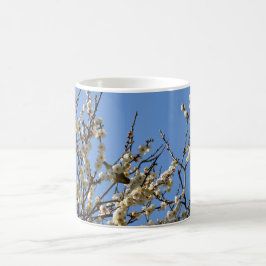 Japanese White-eye & Plum Blossoms: Japan Kaffeetasse