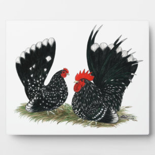 Japanisch Bantams Mottling Fotoplatte