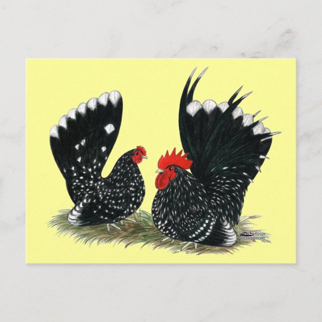 Japanisch Bantams Mottling Postkarte (Vorderseite)