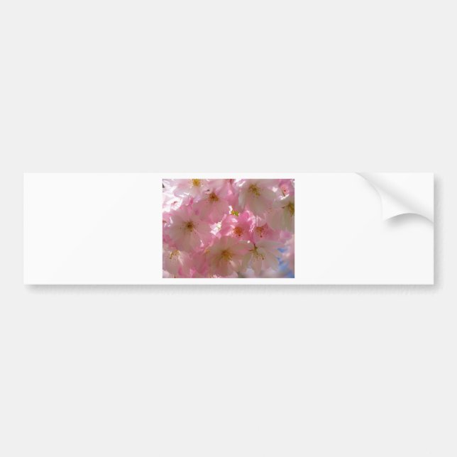 Japanisch Cherry Blossom Autoaufkleber (Vorne)