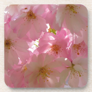 Japanisch Cherry Blossom Getränkeuntersetzer