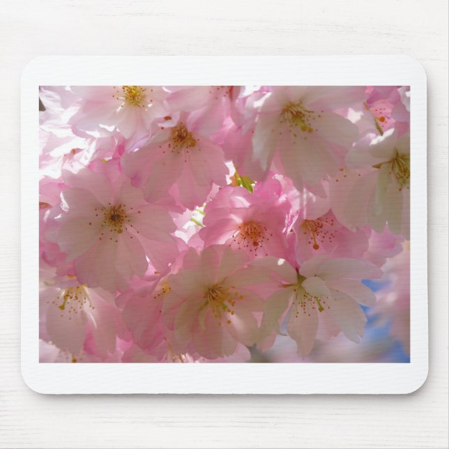 Japanisch Cherry Blossom Mousepad (Vorne)