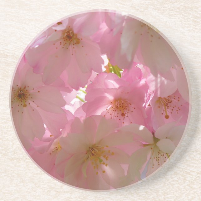 Japanisch Cherry Blossom Sandstein Untersetzer (Vorne)