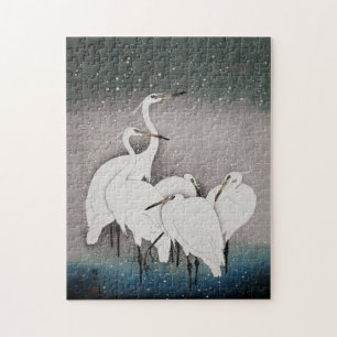 Japanisch Egrets Koson Cranes Winter Snow