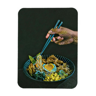 Japanisch Food Liebhaber Magnet