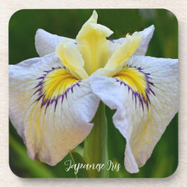 Japanisch Iris Floral, weiß und gelb Getränkeuntersetzer