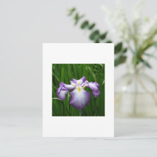Japanisch Iris Postkarte