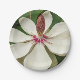 Japanisch Magnolia Blossom Floral Pappteller