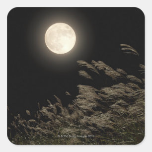 Japanisch Pampas Grass Quadratischer Aufkleber