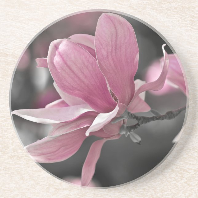 Japanisch Pink Saucer Magnolia Sandstein Untersetzer (Vorne)