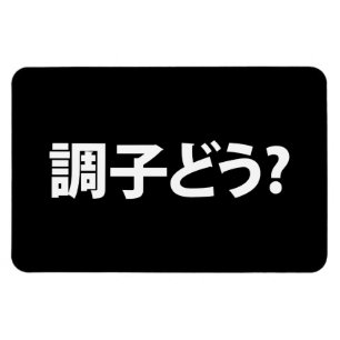 Japanisch Slang Was ist 調 子 う? Choushi Dou Magnet
