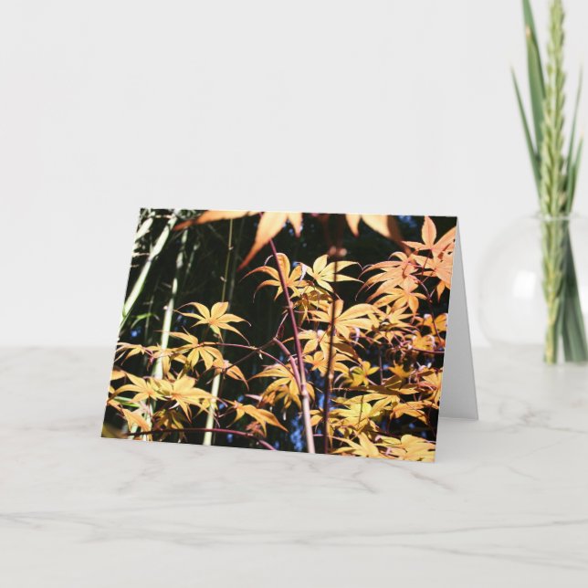 Japanische Ahorn 5 Floral Fotografie HGC Karte (Vorderseite)
