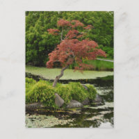 Japanische Ahornbaum und Gartenteich-Postkarte
