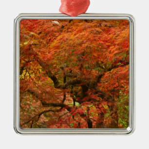 Japanische Ahornfarbe Silbernes Ornament
