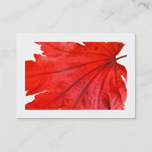 Japanische Ahornleaf (grenzt an Visitenkarte (Vorderseite)