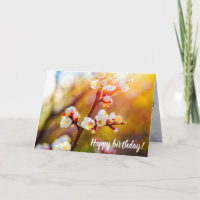 japanische Apricot-Blume bei heißem Orange Sunset