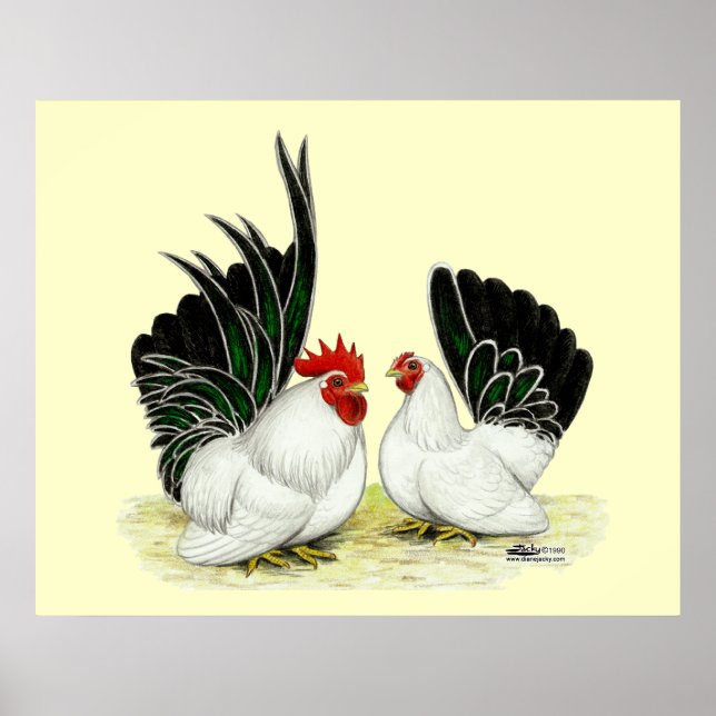 Japanische Blacktail Bantams Poster (Vorne)