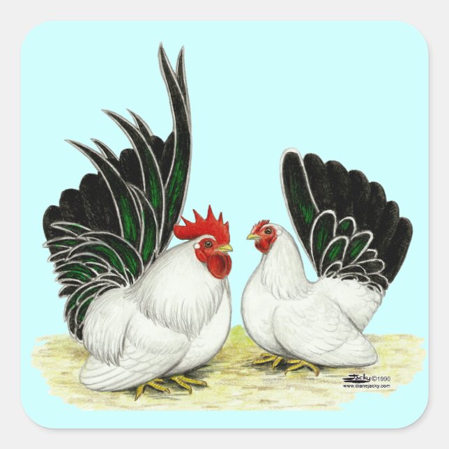 Japanische Blacktail Bantams Quadratischer Aufkleber (Vorderseite)