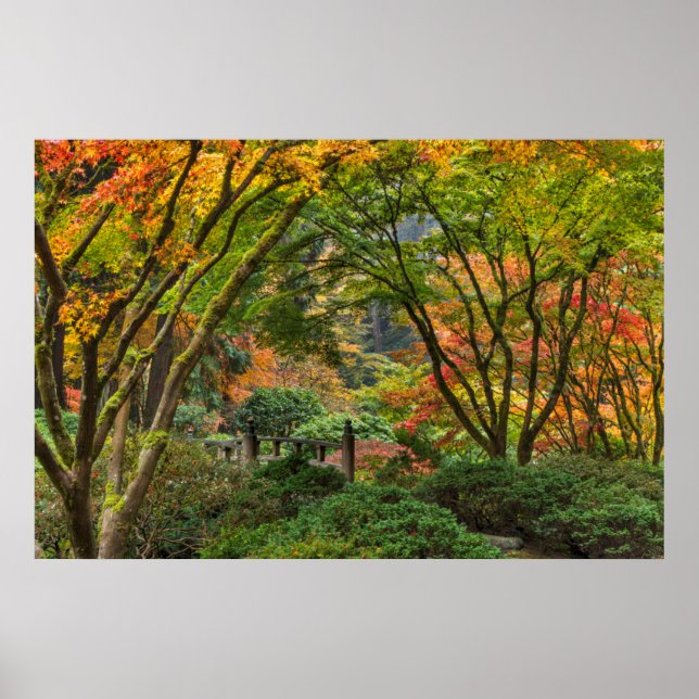 Japanische Gärten im Herbst in Portland, Oregon 4 Poster (Vorne)