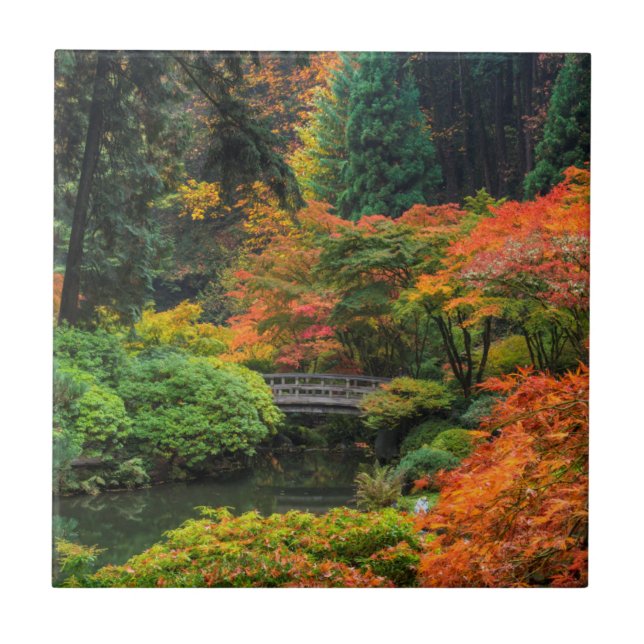 Japanische Gärten im Herbst in Portland, Oregon 5 Fliese (Vorderseite)