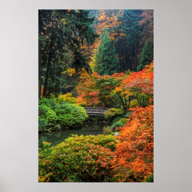 Japanische Gärten im Herbst in Portland, Oregon 5 Poster (Vorne)