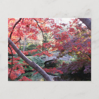 Japanische Gartenbrücke hinter roten Herbstmapsen Postkarte