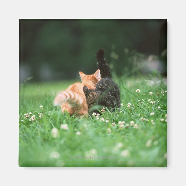 Japanische Katze 4 Magnet (Vorne)
