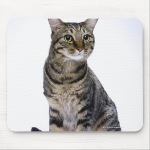 Japanische Katze auf weißem Hintergrund Mousepad