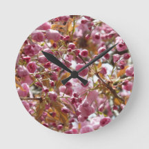 Japanische Kirschbaume