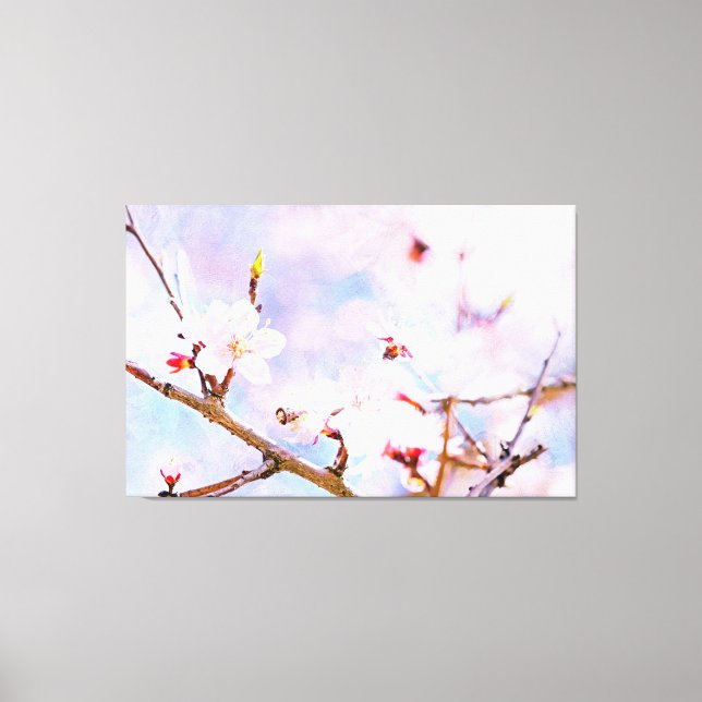 Japanische Kirsche - Sakura in Bloom Leinwanddruck (Vorderseite)
