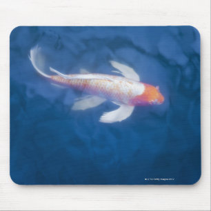 Japanische koi Fische im Teich, hohe Winkelsicht Mousepad
