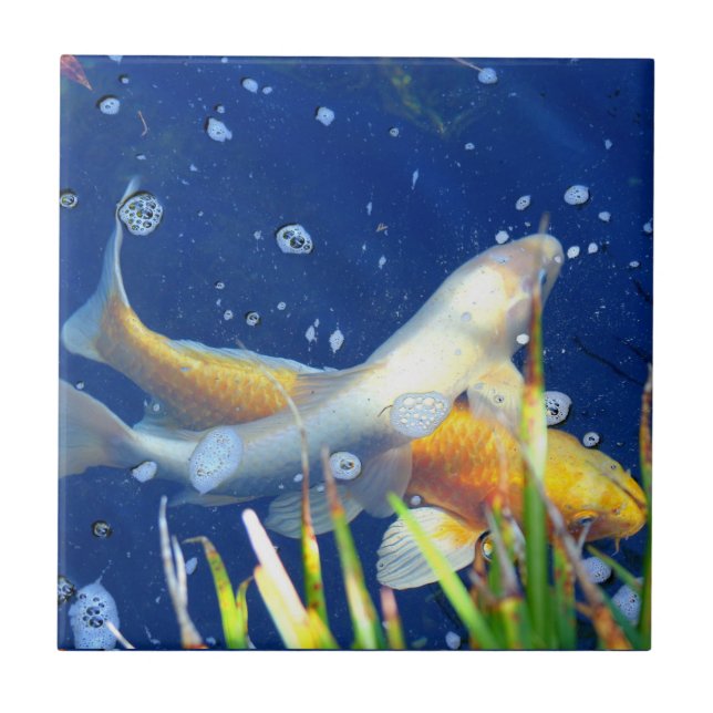 japanische koi Teichfliese Fliese (Vorderseite)