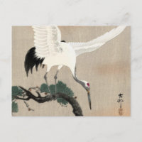 Japanische Krane am Zweig der Kiefer, 1900-1930