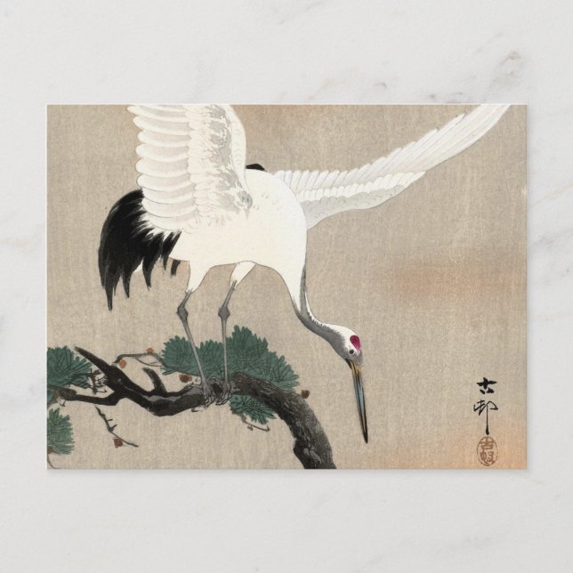 Japanische Krane am Zweig der Kiefer, 1900-1930 Postkarte (Vorderseite)