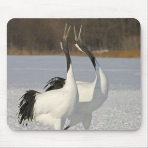 Japanische Kräne, die auf Schnee tanzen Mousepad