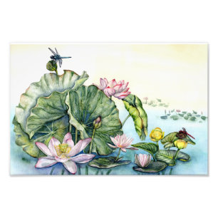 Japanische Lotus Lilies Art Fotodruck