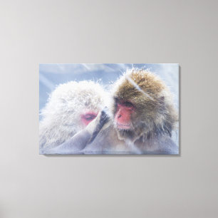 Japanische Macaques (Macaca fuscata) herein Leinwanddruck