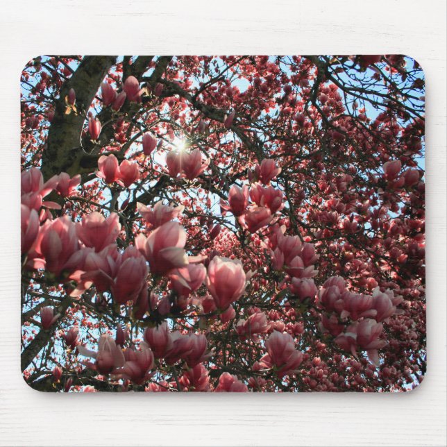 Japanische Magnolie Mousepad (Vorne)
