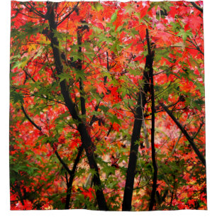 Japanische Maples Duschvorhang