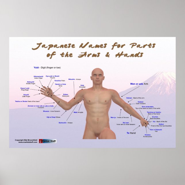 Japanische Namen für Teile der Arme und Hände Poster (Vorne)