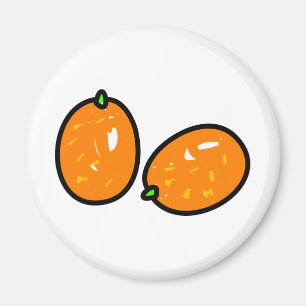 Japanische Orange Magnet