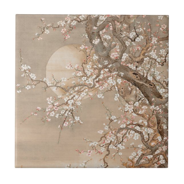 Japanische Pflaumenblüten im Mondschein von Sō Shi Fliese (Vorderseite)