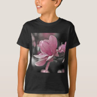 Japanische Rosa-Teller-Magnolie