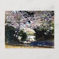 Japanische Vintage Kirschblüten